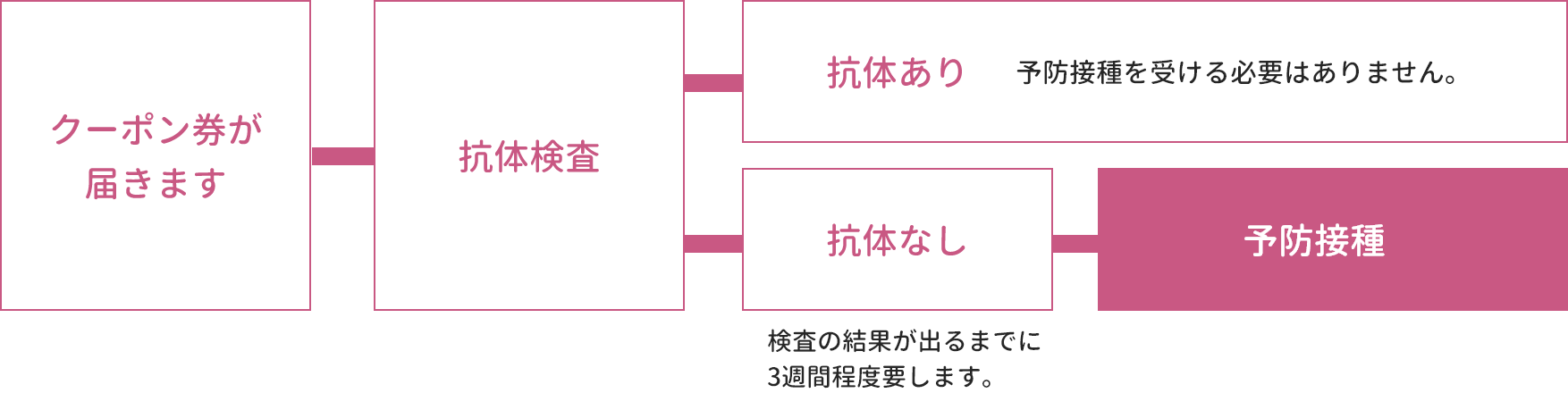 風しん（三日はしか）抗体検査・予防接種の流れ